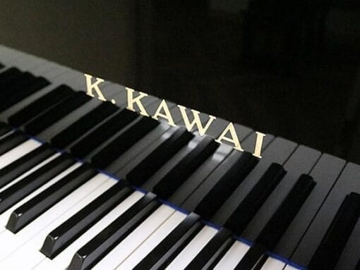 KAWAI KG-2E