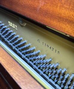 YAMAHA U2G